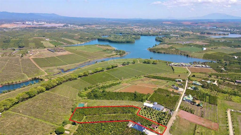 7764.2m2 đất thổ cư, mặt tiền đường nhựa lớn, view đồi chè và hồ cánh bướm rất đẹp
