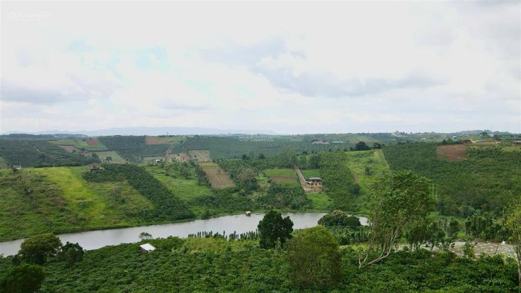 1032,7m2 đất vuông vức, view trực diện hồ thôn 3 lộc tân, bảo lâm
