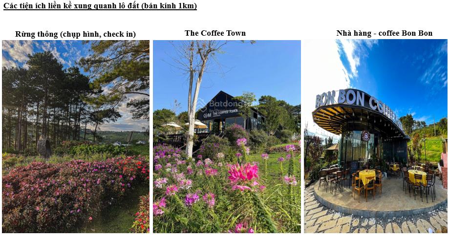 1032,7m2 đất vuông vức, view trực diện hồ thôn 3 lộc tân, bảo lâm