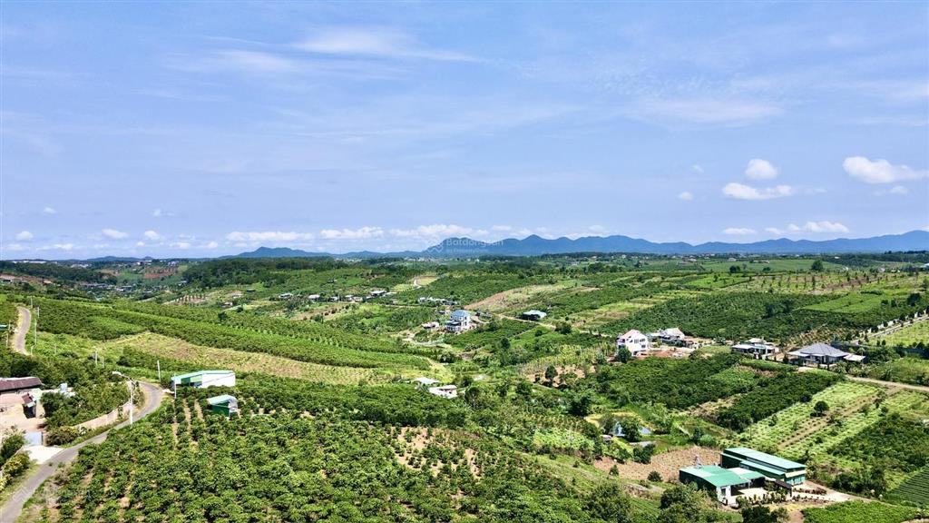 Đất thổ cư, mặt đường nhiều (đường nhựa lộ giới rộng) view đẹp giá tốt