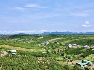 Đất thổ cư, mặt đường nhiều (đường nhựa lộ giới rộng) view đẹp giá tốt