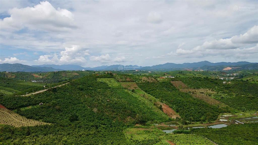 Chỉ 3,5 tỷ cho lô đất rất vuông vức mặt đường nhựa lớn, view hồ và núi rất đẹp