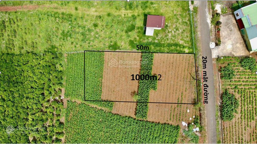 Chỉ 3,5 tỷ cho lô đất rất vuông vức mặt đường nhựa lớn, view hồ và núi rất đẹp