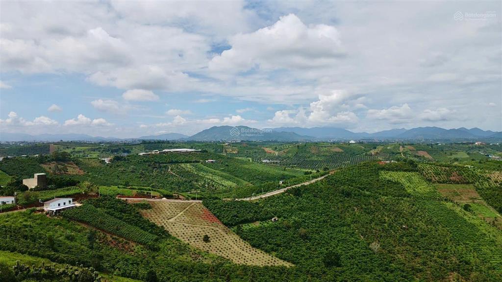 Chỉ 3,5 tỷ cho lô đất rất vuông vức mặt đường nhựa lớn, view hồ và núi rất đẹp