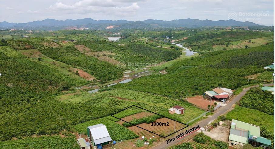 Chỉ 3,5 tỷ cho lô đất rất vuông vức mặt đường nhựa lớn, view hồ và núi rất đẹp