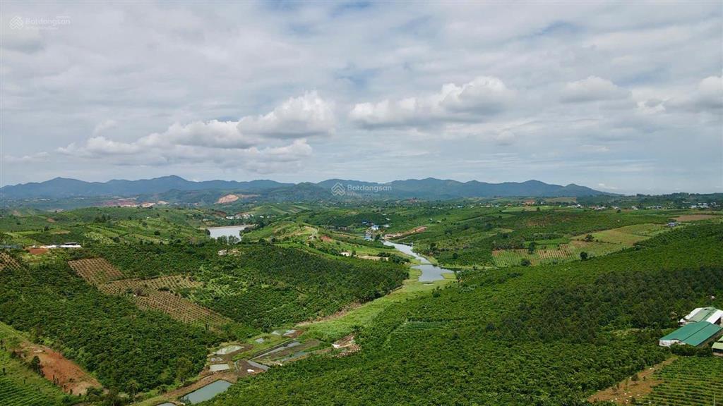 Chỉ 3,5 tỷ cho lô đất rất vuông vức mặt đường nhựa lớn, view hồ và núi rất đẹp