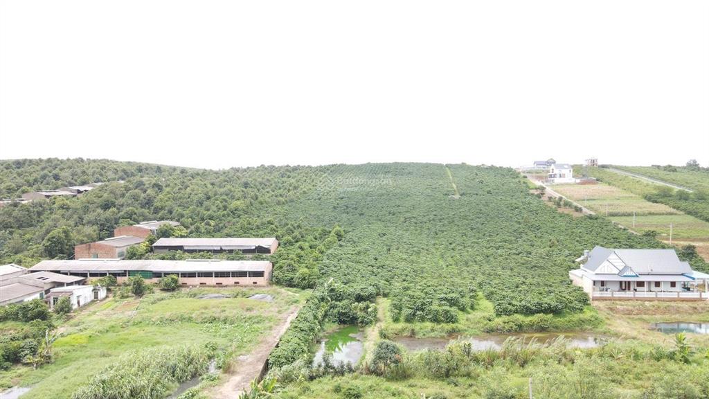 Đất thổ cư mặt đường chính liền kề dự án bảo lộc, view đẹp