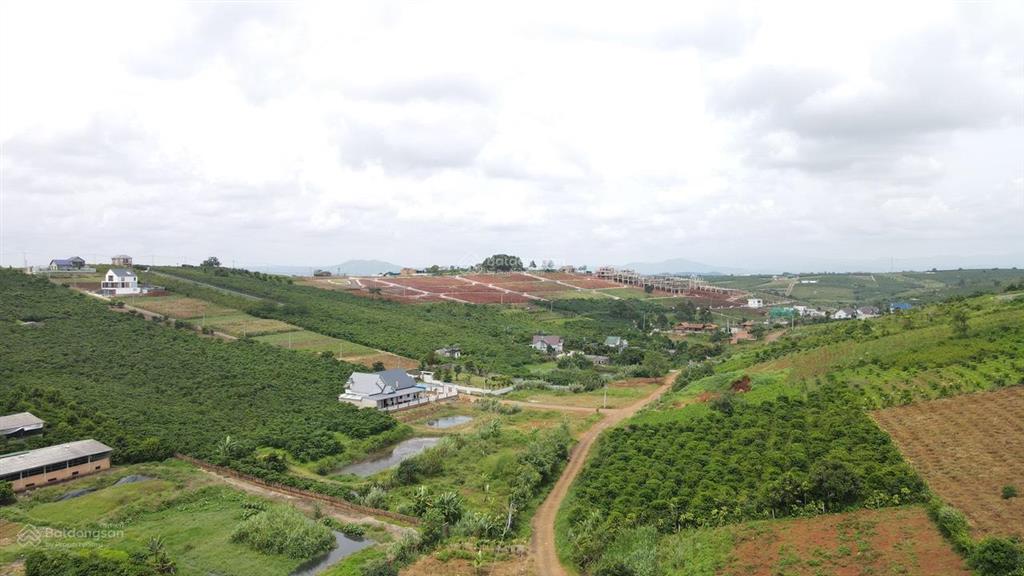 Đất thổ cư mặt đường chính liền kề dự án bảo lộc, view đẹp