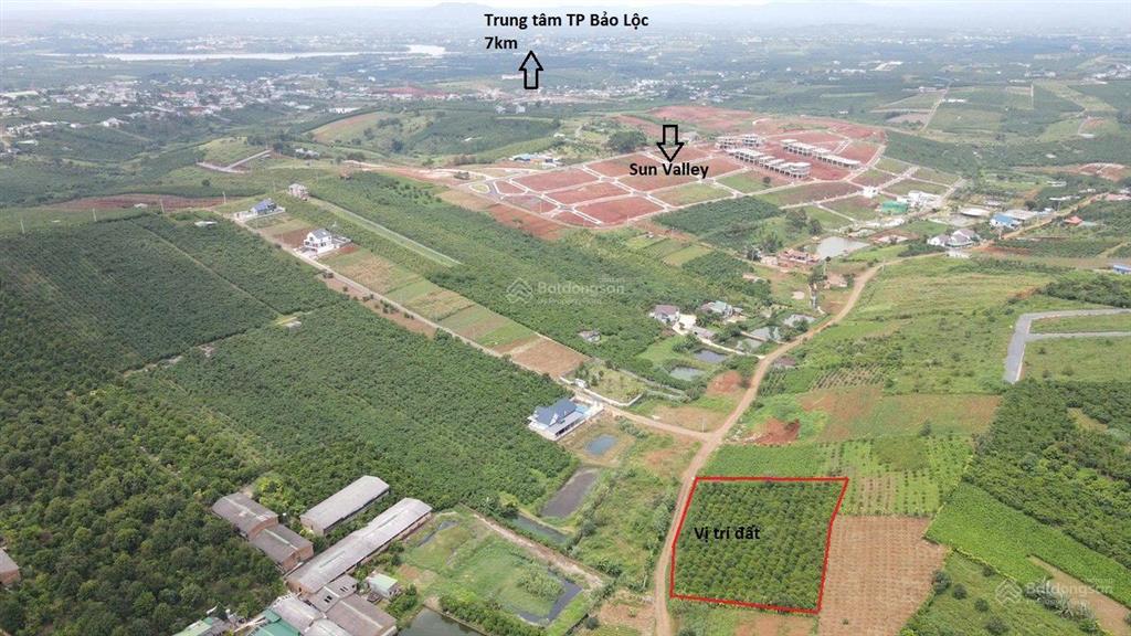 Đất thổ cư mặt đường chính liền kề dự án bảo lộc, view đẹp