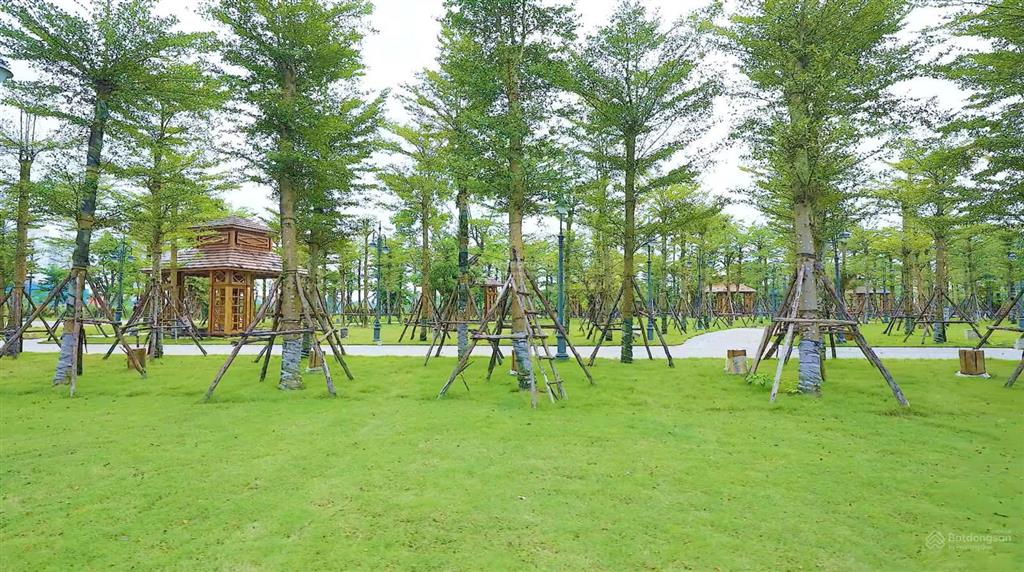 Nhà phố 75m², xây 4 tầng 246m², bàn giao quý ii/2026, full giá từ 15,9 tỷ