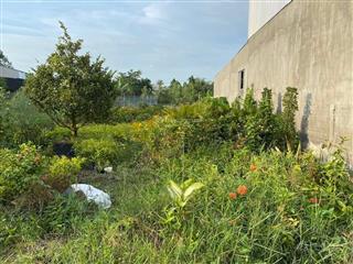 Bán nền đường đt 852 làng hoa sa đéc, mặt tiền đường đt 852 và sông sa đéc