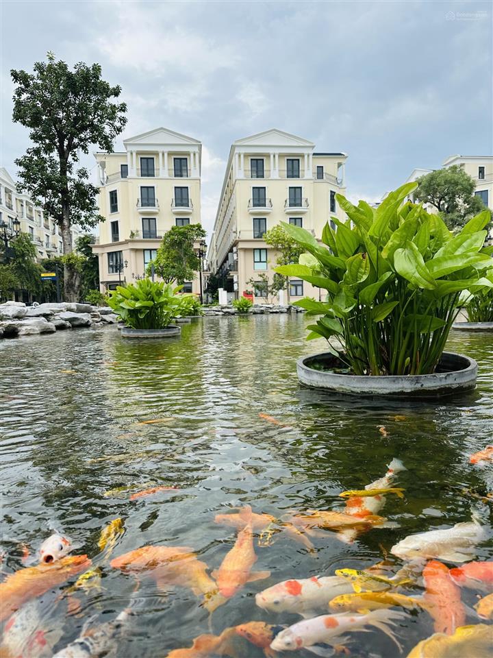 Đơn lập góc vip đảo dừa compound, bể bơi 4 mùa