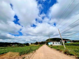 Bạn đã từng mơ về ngôi nhà nhỏ giữa thiên nhiên chỉ với 570tr tại xã đơn dươnglâm đồng
