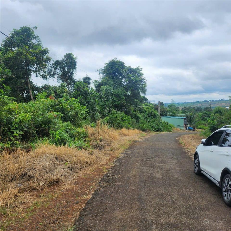 Bán đất đường tránh võ nguyên giáp, nghĩa tân, gia nghĩa, đắk nông giá chỉ 6,9 tỷ cho 7003m2