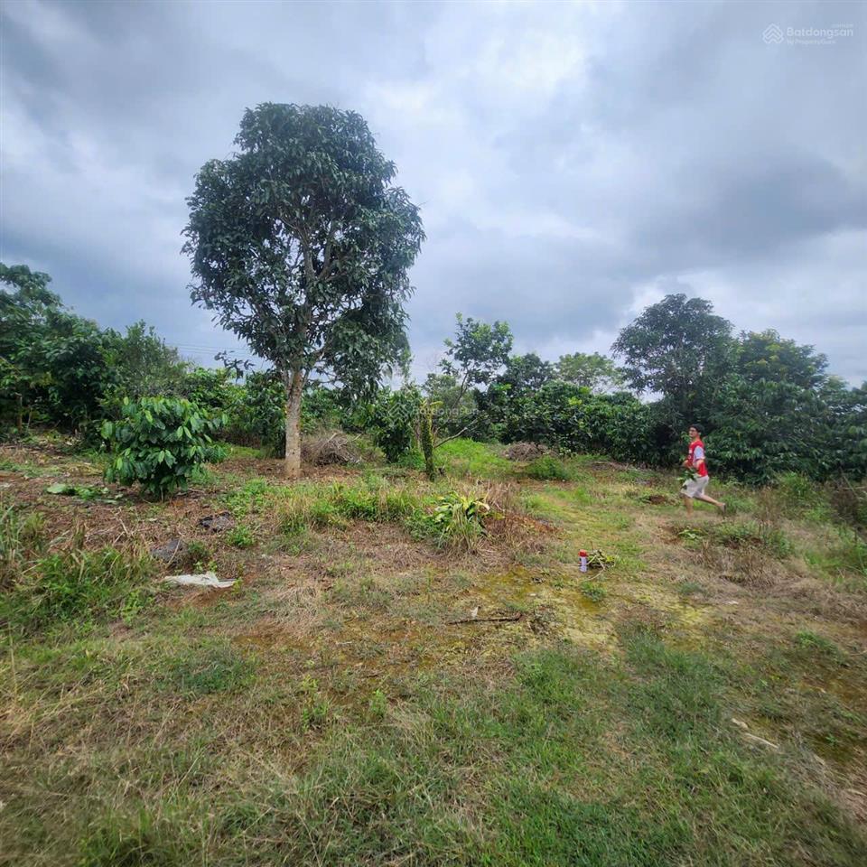 Bán đất đường tránh võ nguyên giáp, nghĩa tân, gia nghĩa, đắk nông giá chỉ 6,9 tỷ cho 7003m2