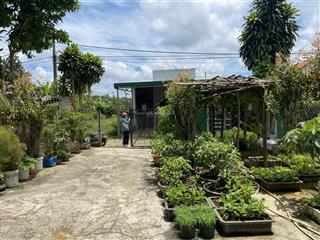 Nhà vườn 500m² tc 100m²  lộc châu bảo lộc  sẵn nhà cấp 4, vườn cây ăn trái  giá chỉ 2,8 tỷ
