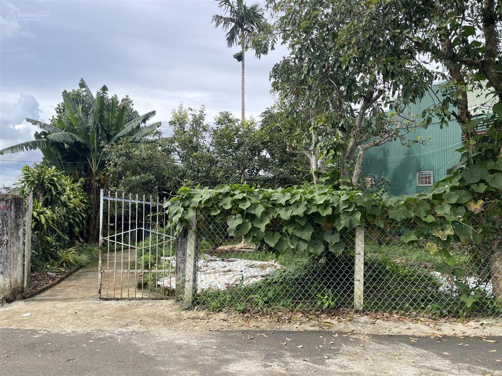 View hồ nam phương  bùi thị xuân  phường 1  bảo lộc  dt12mx22m sẵn 100 thổ cư đường nhựa 2 ôtô