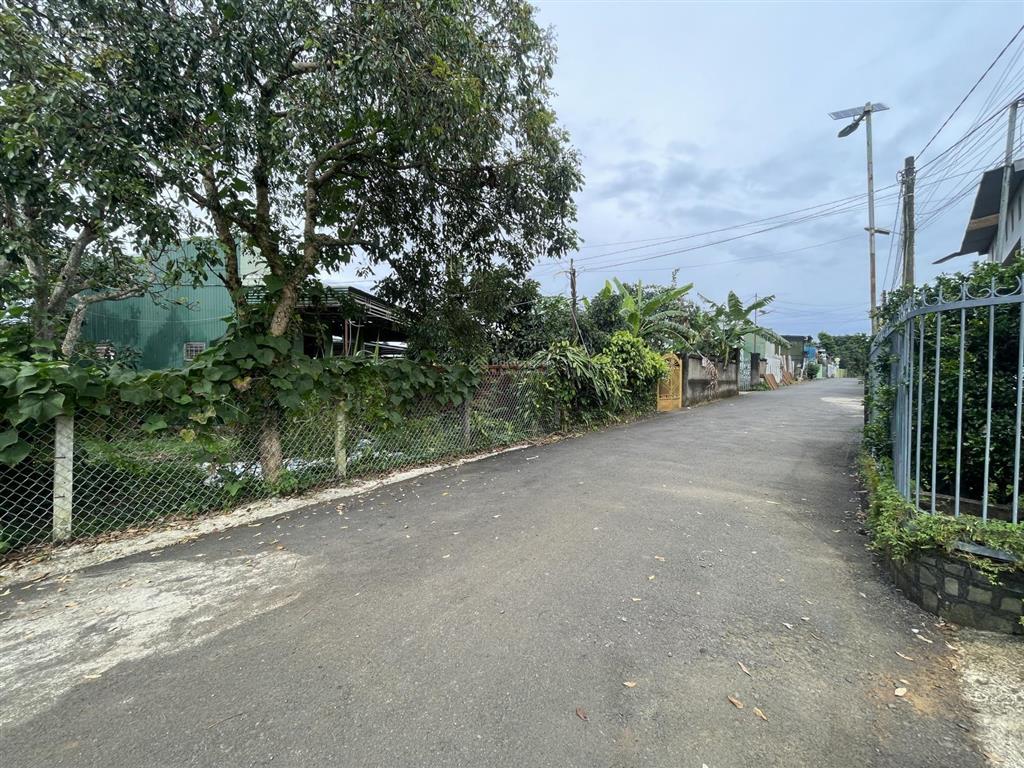 View hồ nam phương  bùi thị xuân  phường 1  bảo lộc  dt12mx22m sẵn 100 thổ cư đường nhựa 2 ôtô