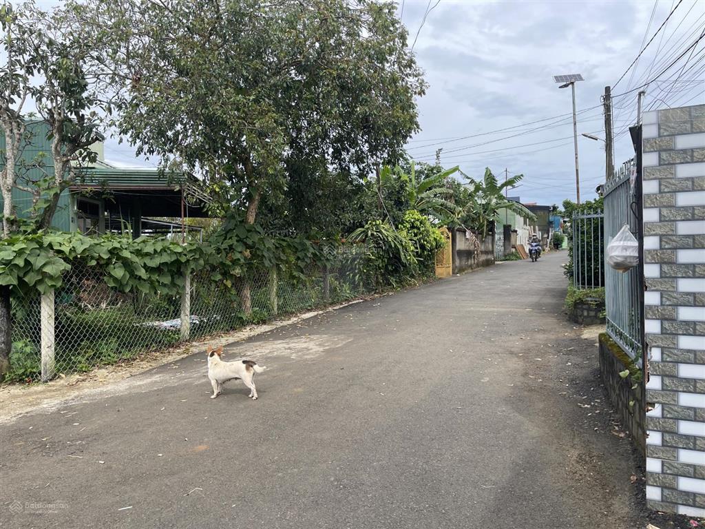 View hồ nam phương  bùi thị xuân  phường 1  bảo lộc  dt12mx22m sẵn 100 thổ cư đường nhựa 2 ôtô