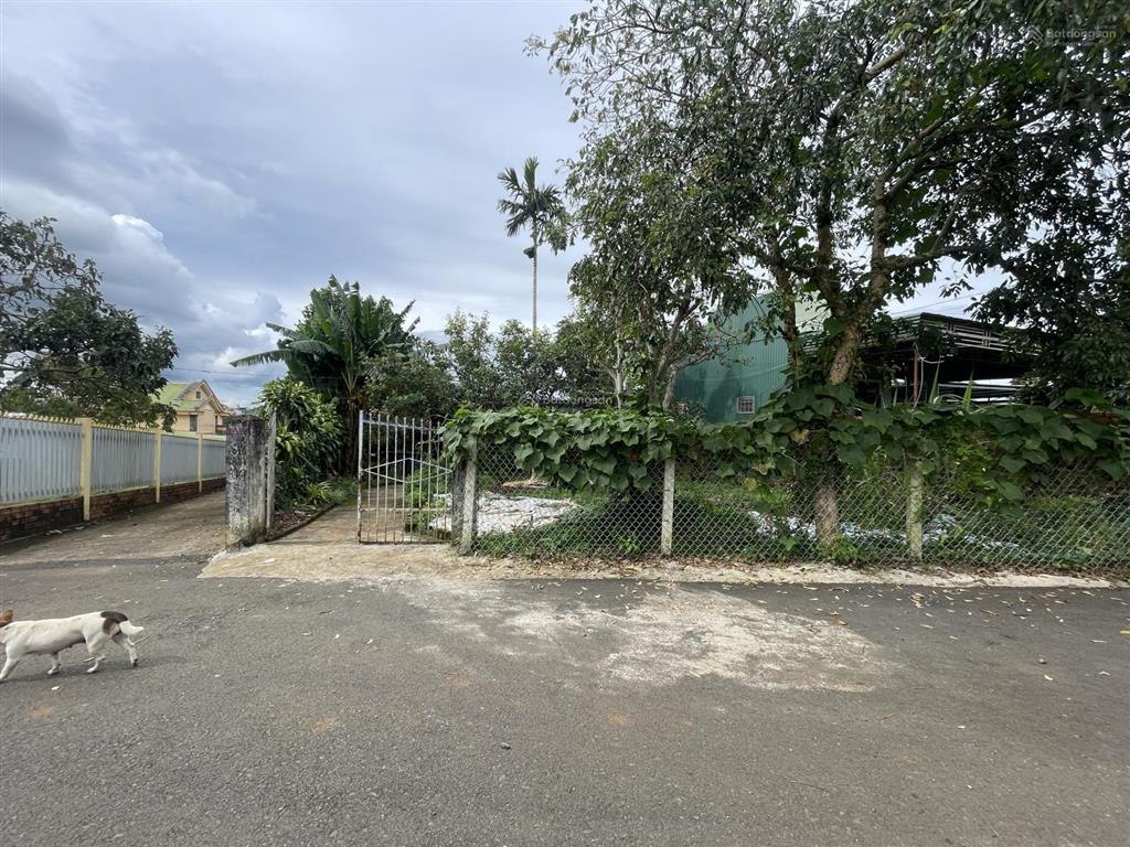 View hồ nam phương  bùi thị xuân  phường 1  bảo lộc  dt12mx22m sẵn 100 thổ cư đường nhựa 2 ôtô