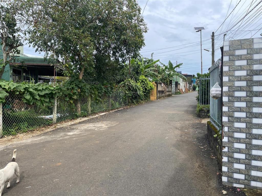 View hồ nam phương  bùi thị xuân  phường 1  bảo lộc  dt12mx22m sẵn 100 thổ cư đường nhựa 2 ôtô