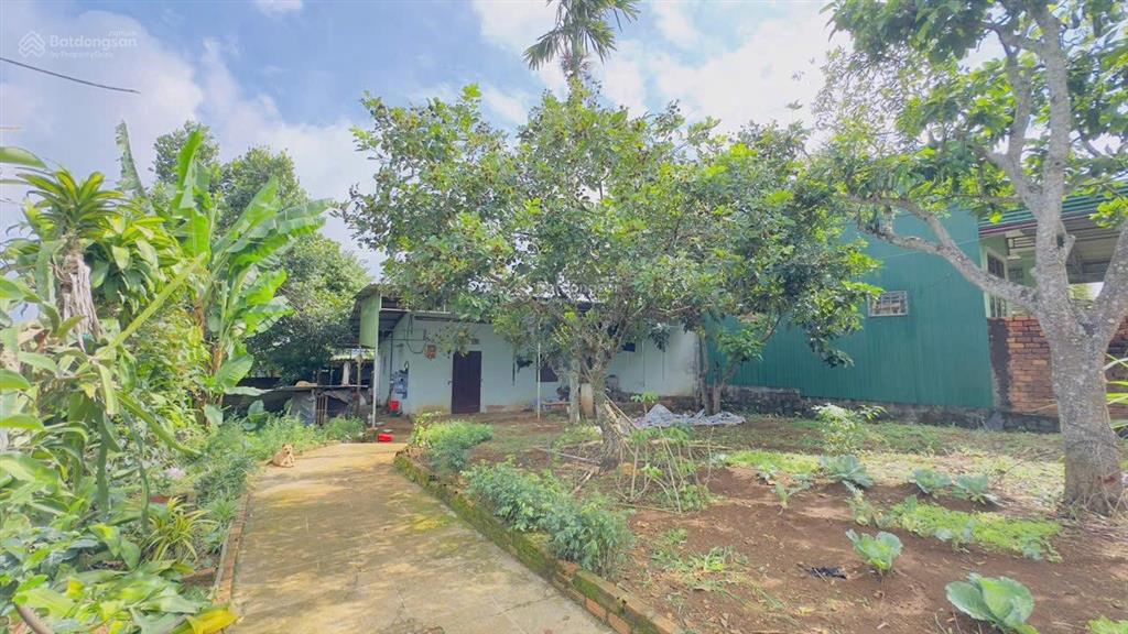 View hồ nam phương  bùi thị xuân  phường 1  bảo lộc  dt12mx22m sẵn 100 thổ cư đường nhựa 2 ôtô