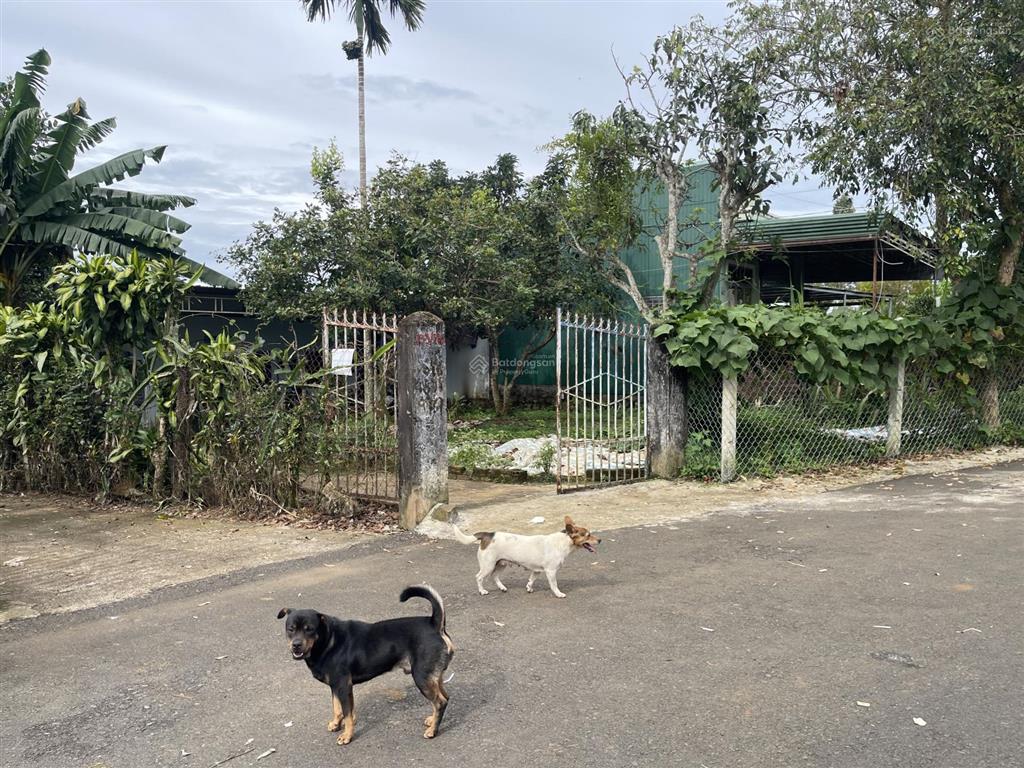 View hồ nam phương  bùi thị xuân  phường 1  bảo lộc  dt12mx22m sẵn 100 thổ cư đường nhựa 2 ôtô