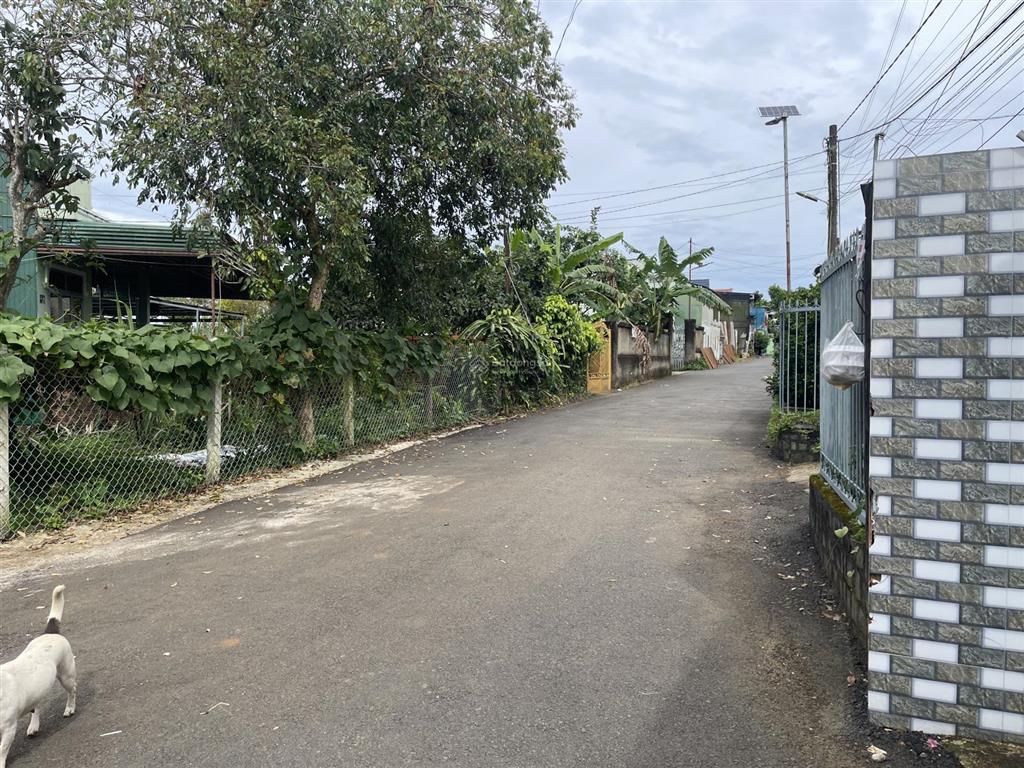 View hồ nam phương  bùi thị xuân  phường 1  bảo lộc  dt12mx22m sẵn 100 thổ cư đường nhựa 2 ôtô