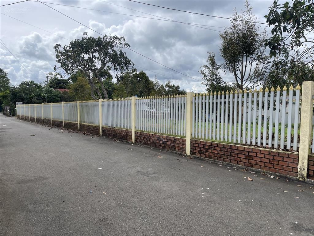 View hồ nam phương  bùi thị xuân  phường 1  bảo lộc  dt12mx22m sẵn 100 thổ cư đường nhựa 2 ôtô