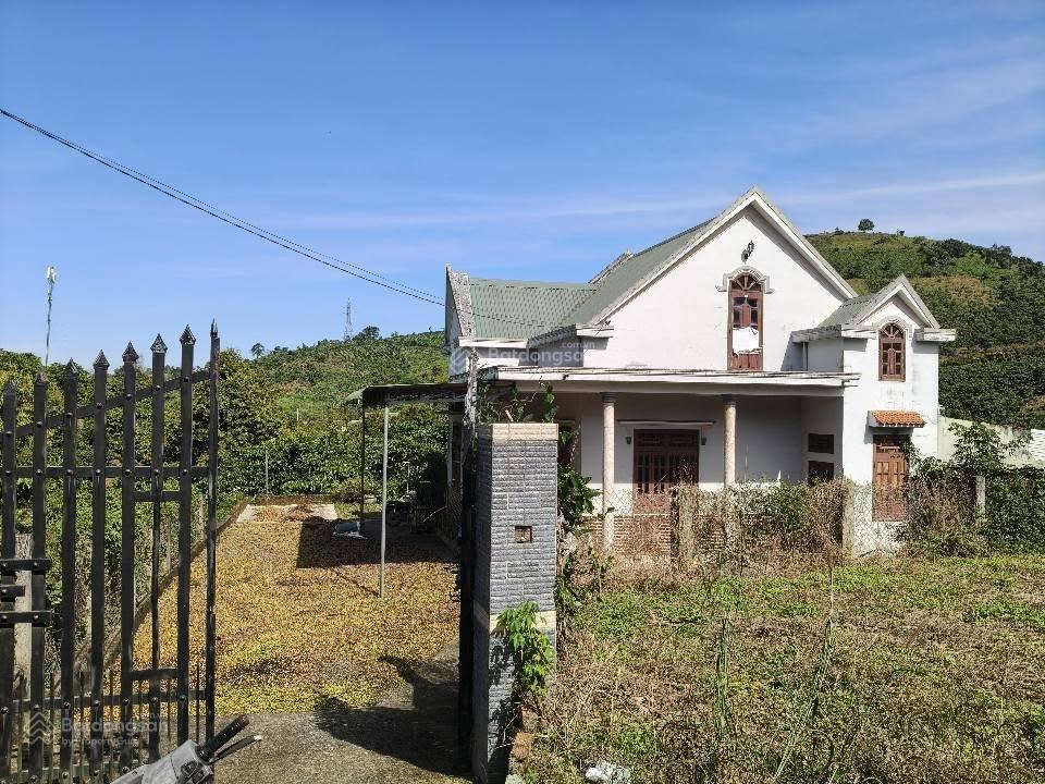 Nhà vườn bảo lộc  dt 8882m2  sẵn 100m2 thổ cư  vườn đầy đủ cây ăn trái