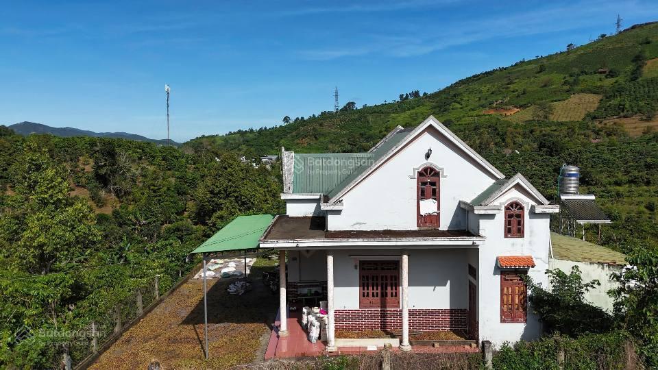 Nhà vườn bảo lộc  dt 8882m2  sẵn 100m2 thổ cư  vườn đầy đủ cây ăn trái