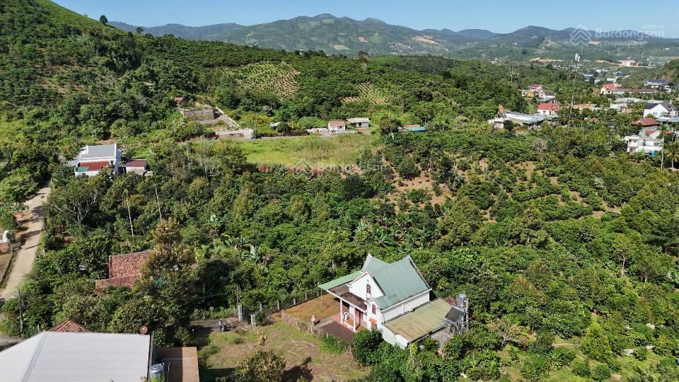 Nhà vườn bảo lộc  dt 8882m2  sẵn 100m2 thổ cư  vườn đầy đủ cây ăn trái