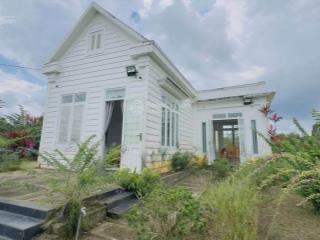 Homestay vườn trái cây lộc thành, bảo lâm, view núi 7317,6m2 (37mx187m)  thổ cư 200m2  đường ô tô