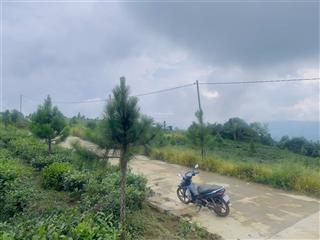 View săn mây đồi bát úp bảo lộc  dt1500m2 (20x63m) quy hoạch thổ cư view siêu đẹp