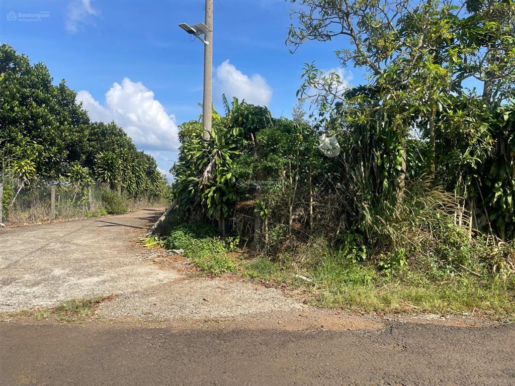 Đất bảo lộc lô góc hiếm 2 mặt tiền trần nhật duật, cách quảng trường 3,8km dt 1121m2 sẵn thổ cư