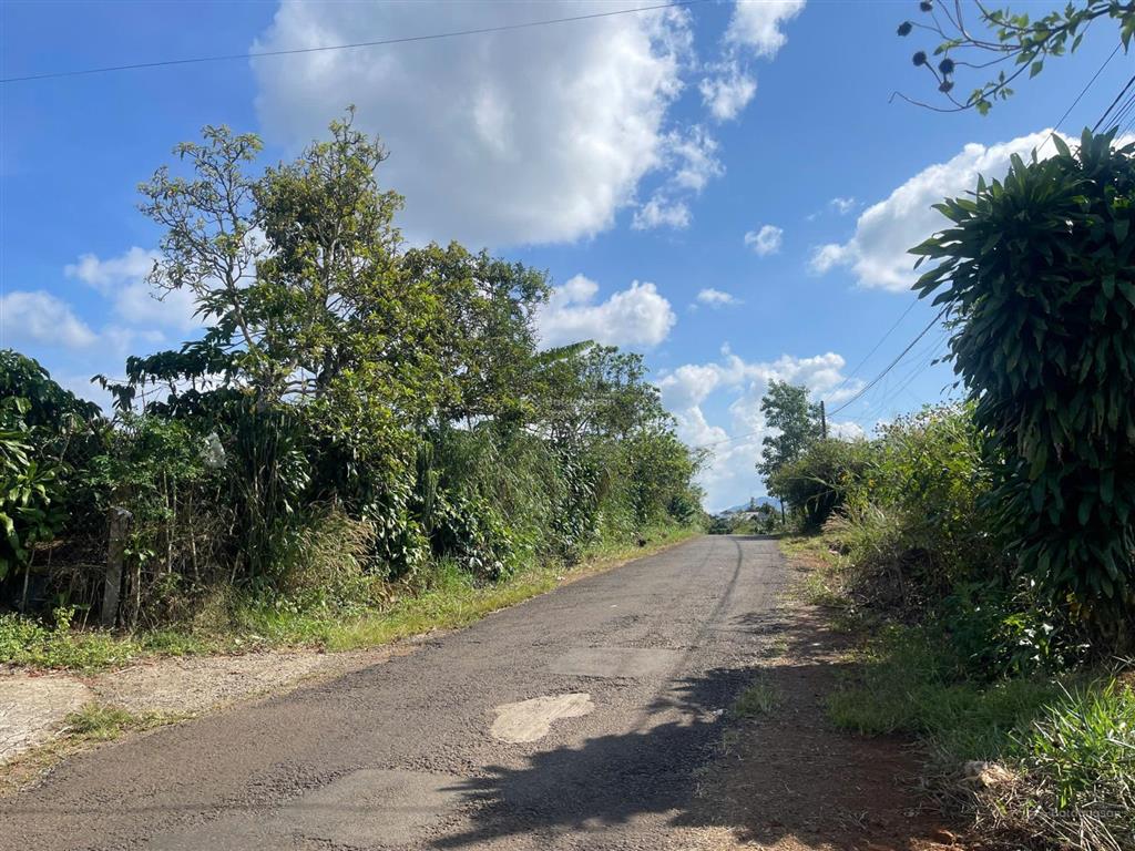 Đất bảo lộc lô góc hiếm 2 mặt tiền trần nhật duật, cách quảng trường 3,8km dt 1121m2 sẵn thổ cư