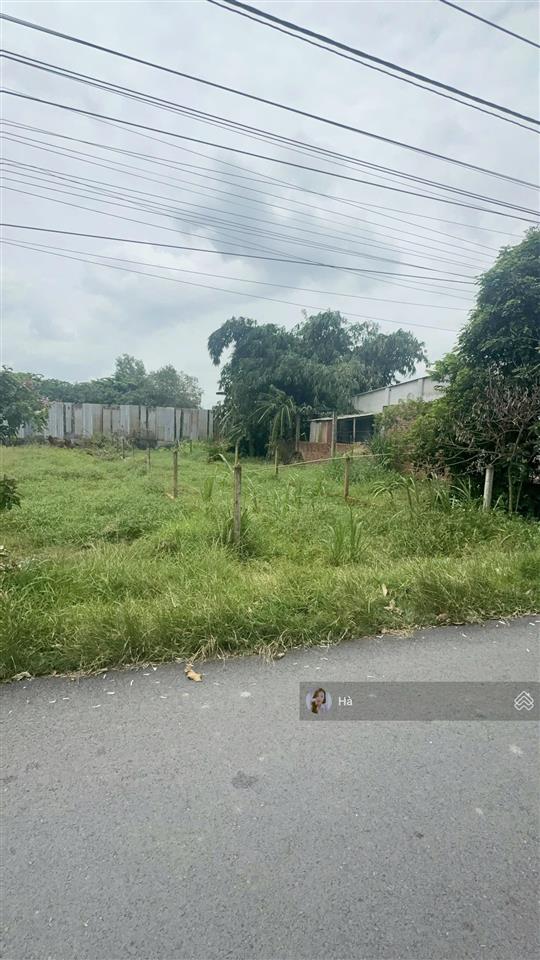 Chốt nhanh! 800tr/ 263m2 đất có thổ cư mặt tiền cao thị bèo, 300m ra ql22, phước hiệp, củ chi