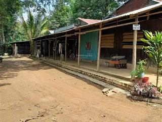 Chính chủ cần bán mảnh vườn tâm huyết tại thanh hòa, bù đốp, bình phước.