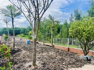 Bán đất 1 sẹc, cách mặt tiền hùng vương 150m2, lên được full thổ, đường 7m