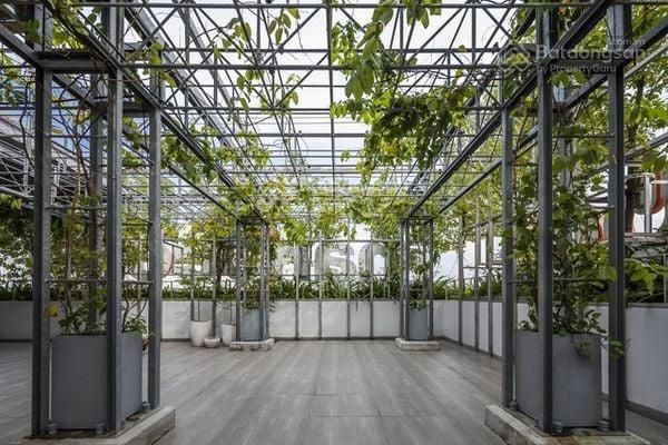 Cho thuê tòa nhà điện biên phủ, phường 6, quận 3. dt 15x35m, trệt 10 lầu thang máy