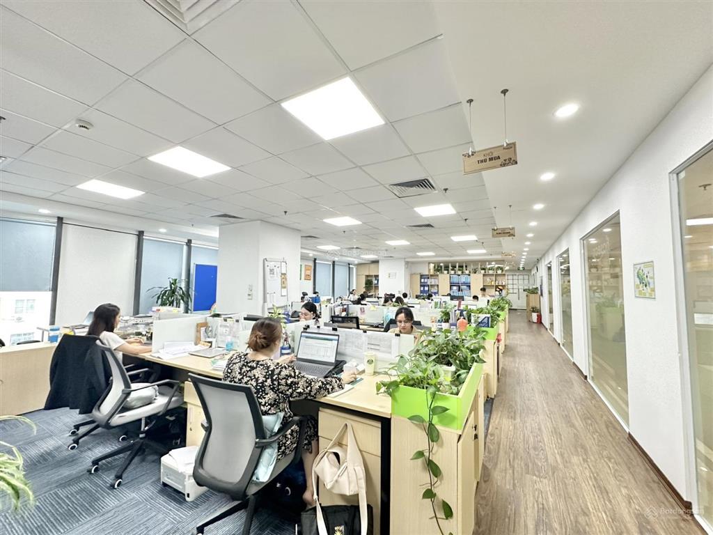 Bql cần cho thuê văn phòng tại tòa new skyline văn quán, hà đông dt 298m2