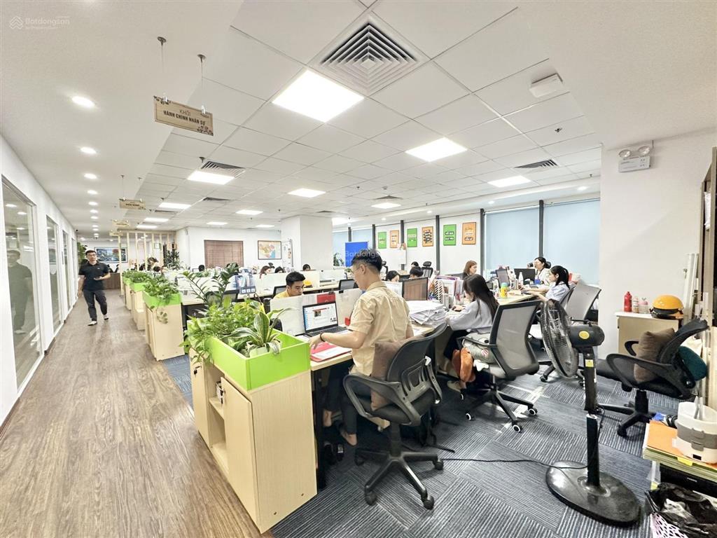 Bql cần cho thuê văn phòng tại tòa new skyline văn quán, hà đông dt 298m2