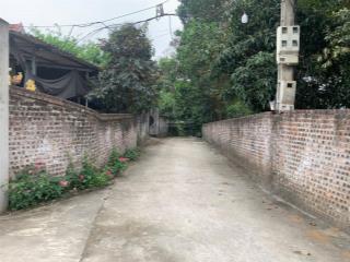 Bán đất nền rộng 1005m² tại ba trại, ba vì, hà nội giá thỏa thuận cơ hội đầu tư sinh lời