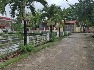 Hai lô đất liền kề trong đó có một lô góc hai măt tiền diên tích mỗi lô 131m2