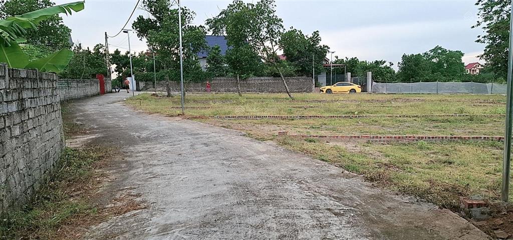 Đất thị trấn bắc lý. cách tỉnh lộ 295 chỉ 200m diên tích hơn 100m2 mặt tiền hơn 6m