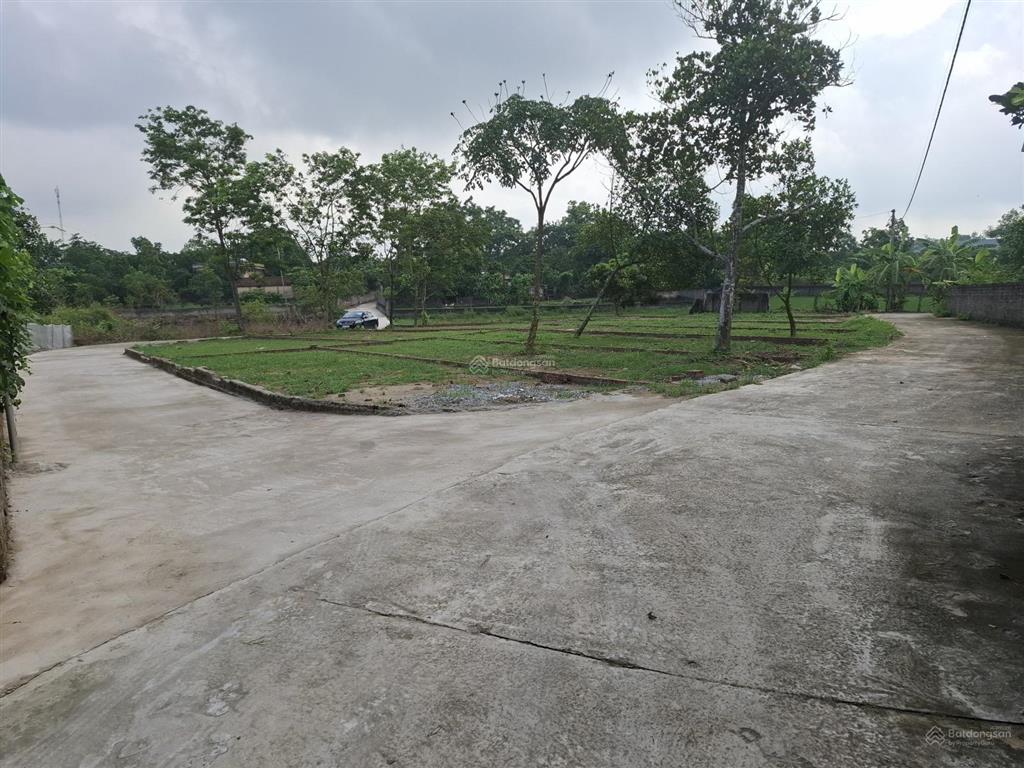 Đất thị trấn bắc lý. cách tỉnh lộ 295 chỉ 200m diên tích hơn 100m2 mặt tiền hơn 6m