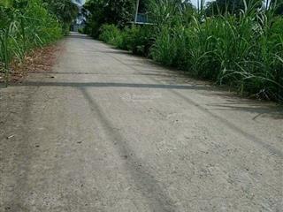 Bán lô đất 689.6m2 full thổ tt thanh vĩnh đông  đường nhựa ao sen bà hùng 6m chỉ 7.15 tỷ