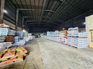 Cho thuê kho 1500m2 sân bãi 1800m2 vành đai cưebur bmt có điện 3 pha