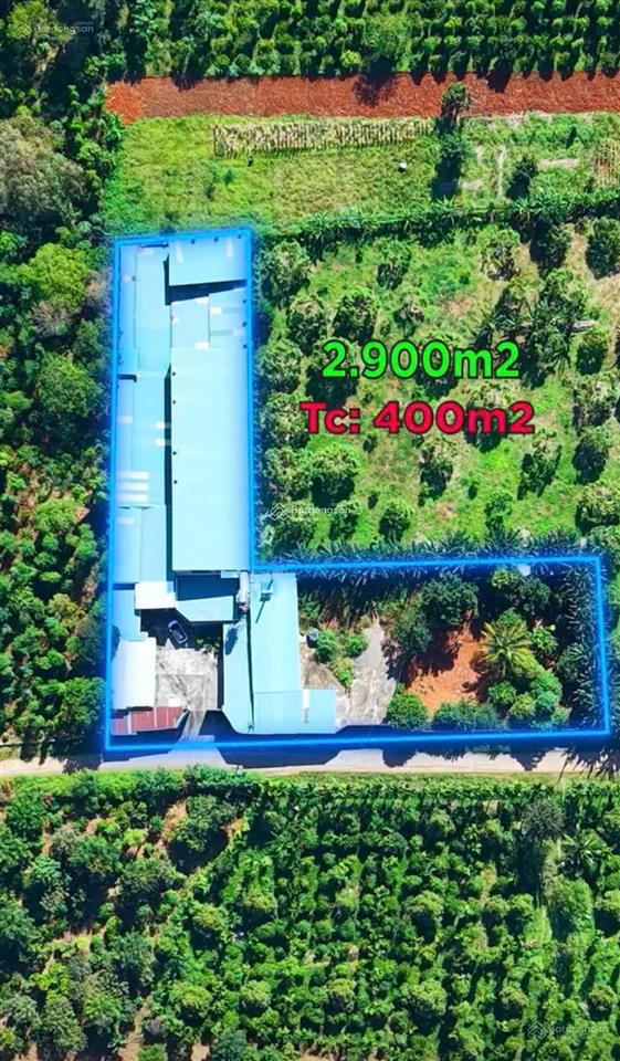 Bán kho 2900m2 eanuoi buôn đôn cách tl1 1km đường xe 4 chân, phù hợp sx thực phẩm