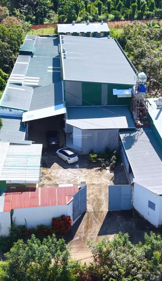 Bán kho 2900m2 eanuoi buôn đôn cách tl1 1km đường xe 4 chân, phù hợp sx thực phẩm
